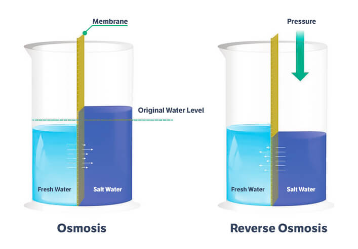 How does reverse osmosis work? 